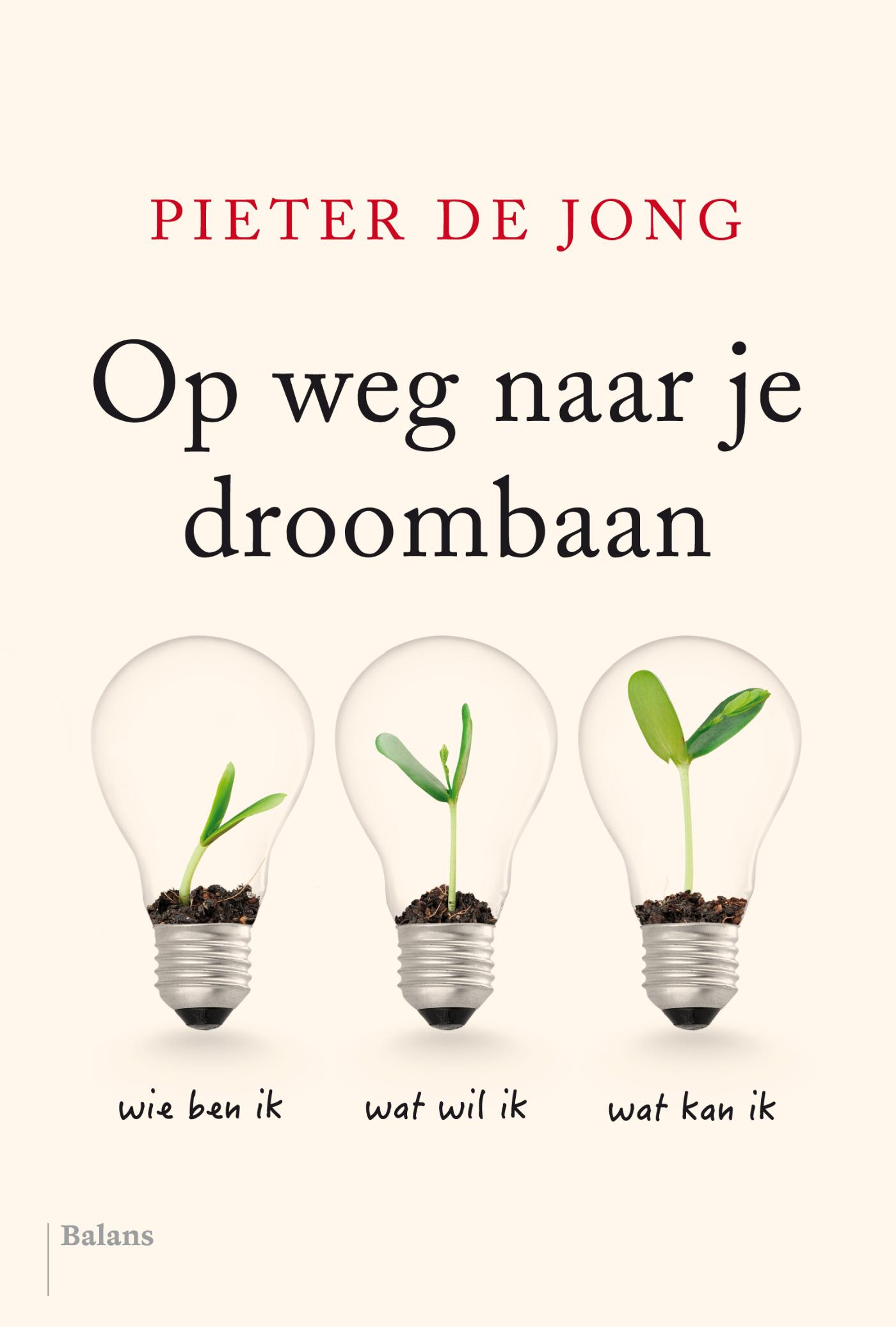 Omslag van Op weg naar je droombaan