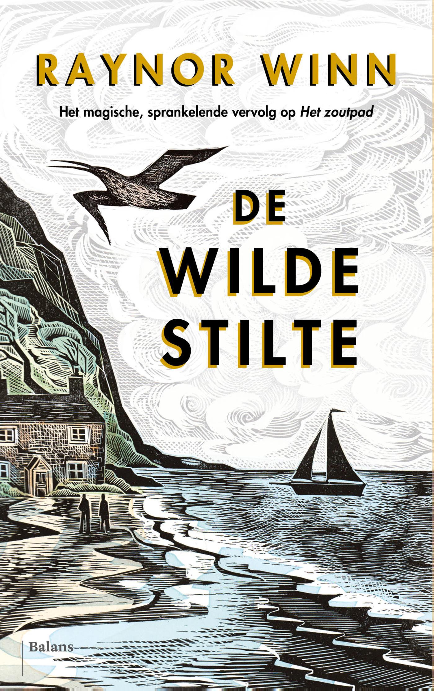 Omslag van De wilde stilte