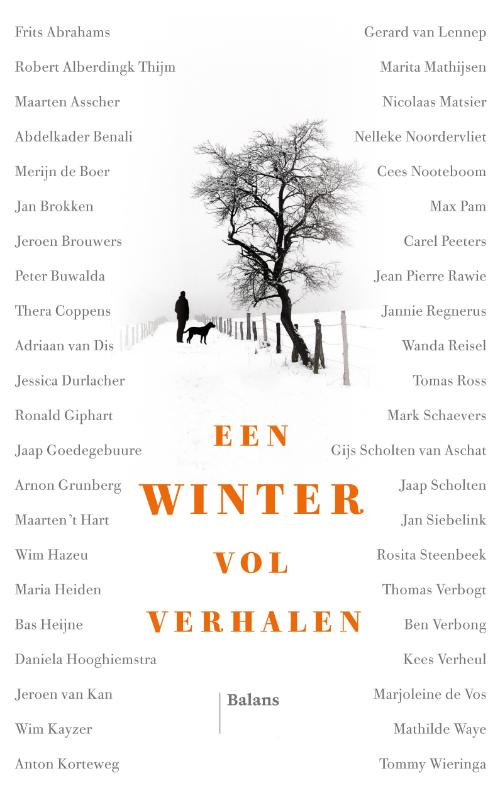 Omslag van Een winter vol verhalen