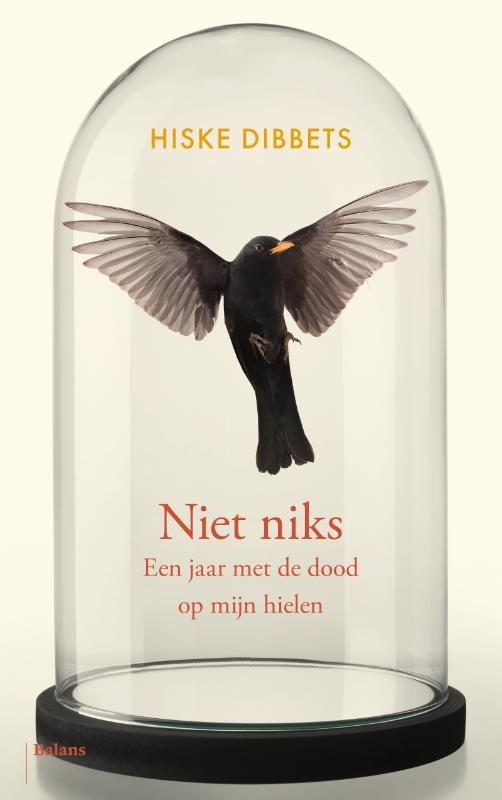 Omslag van Niet niks