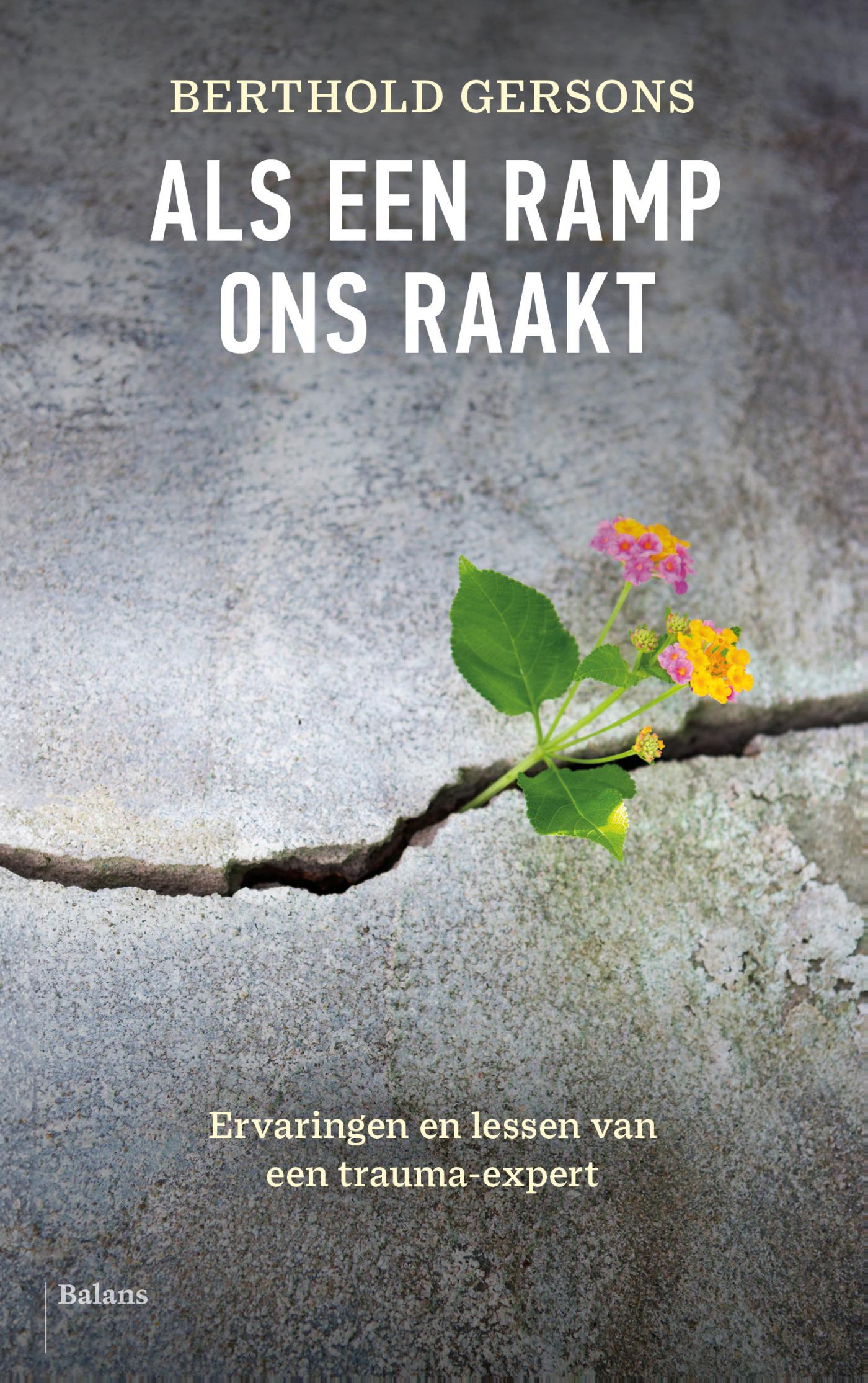 Omslag van Als een ramp ons raakt