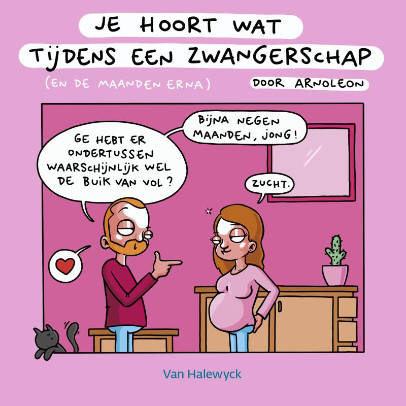 Omslag van Je hoort wat tijdens een zwangerschap