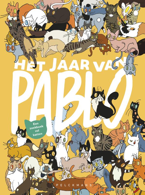 Omslag van Het jaar van Pablo