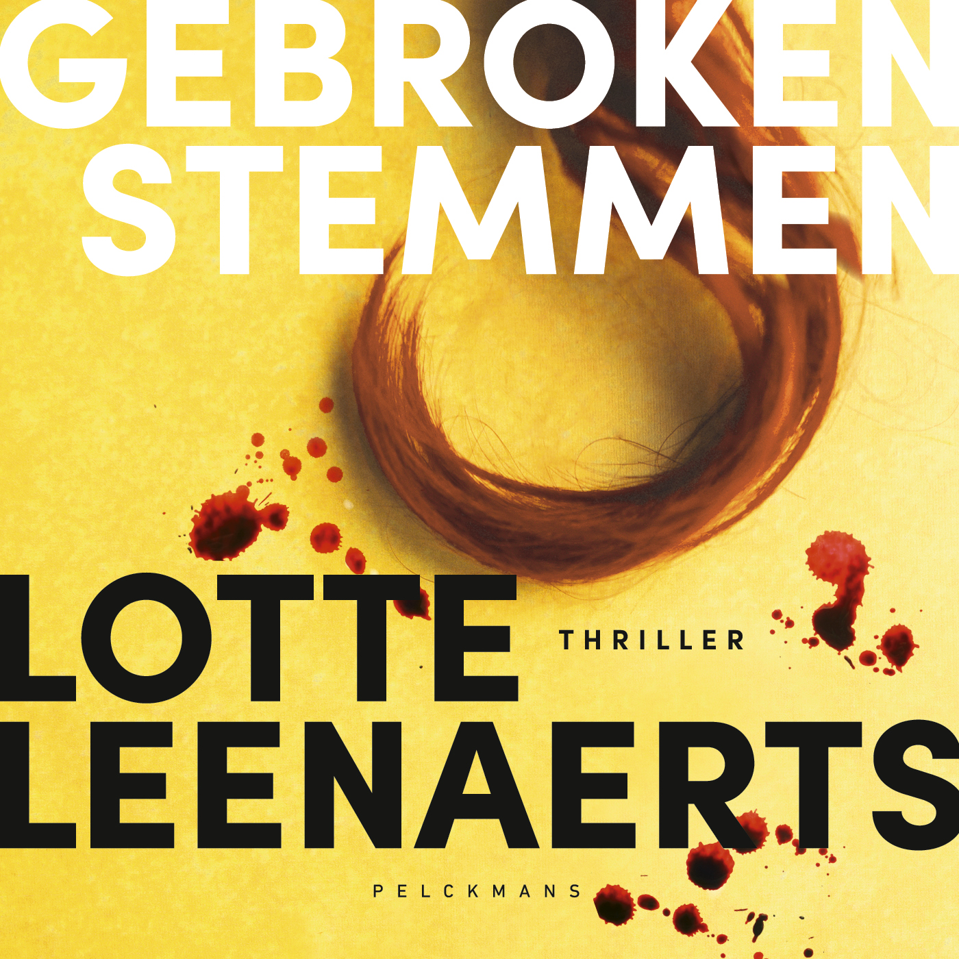 Omslag van Gebroken stemmen