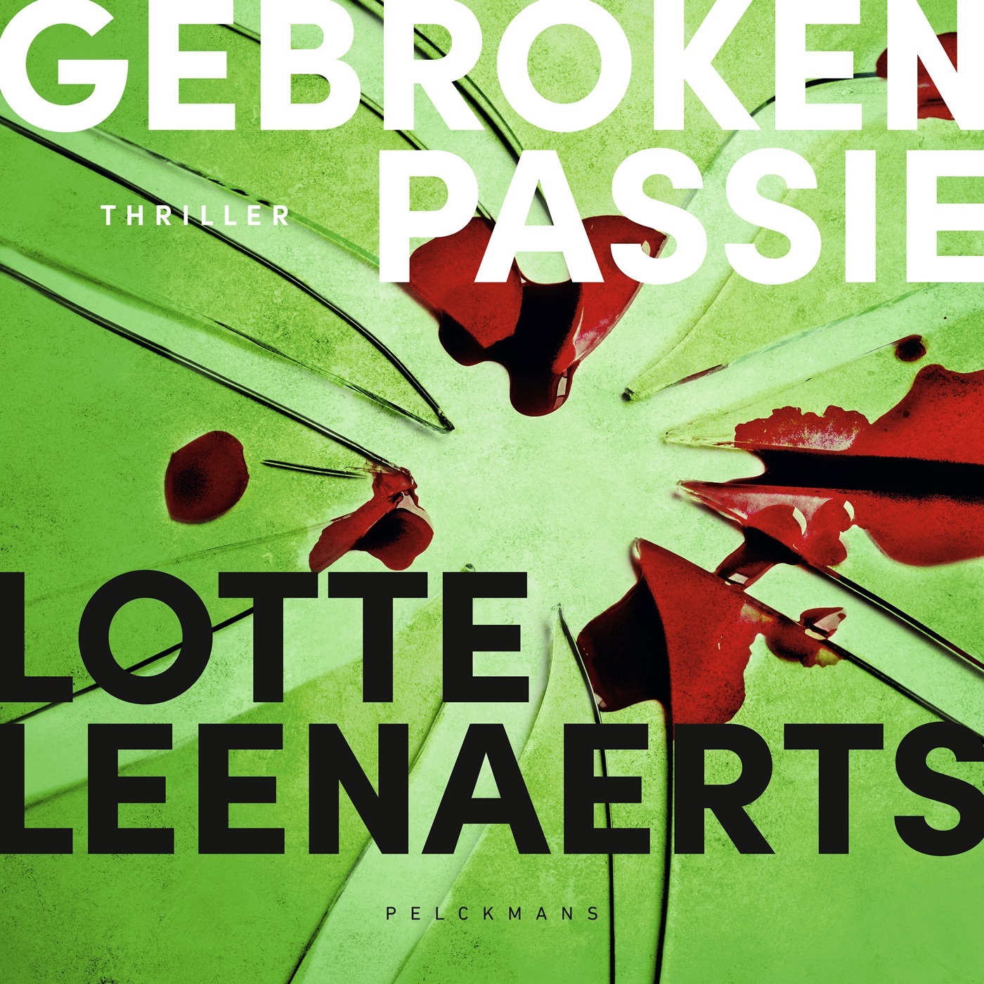 Omslag van Gebroken passie