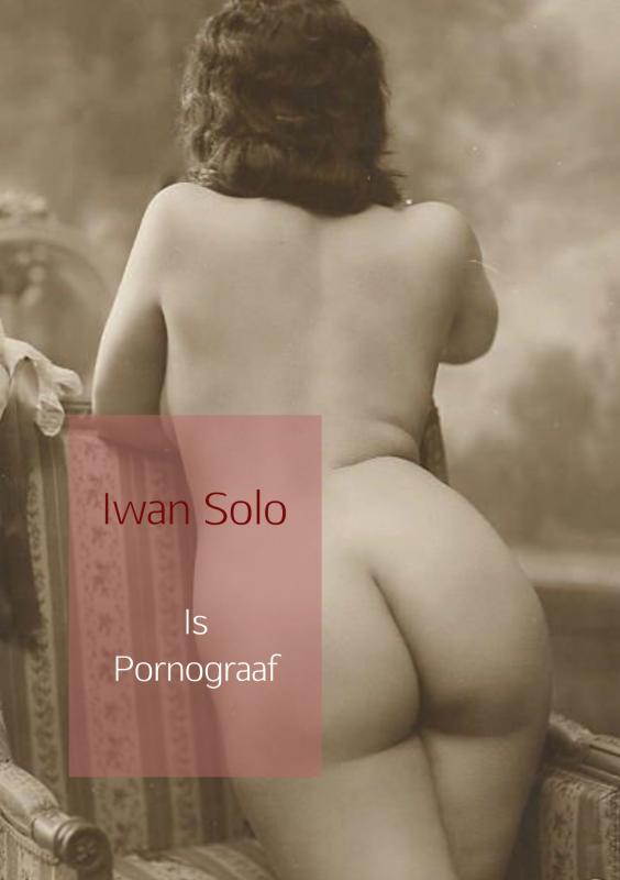 Omslag van Is Pornograaf