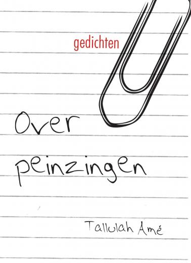 Omslag van Overpeinzingen