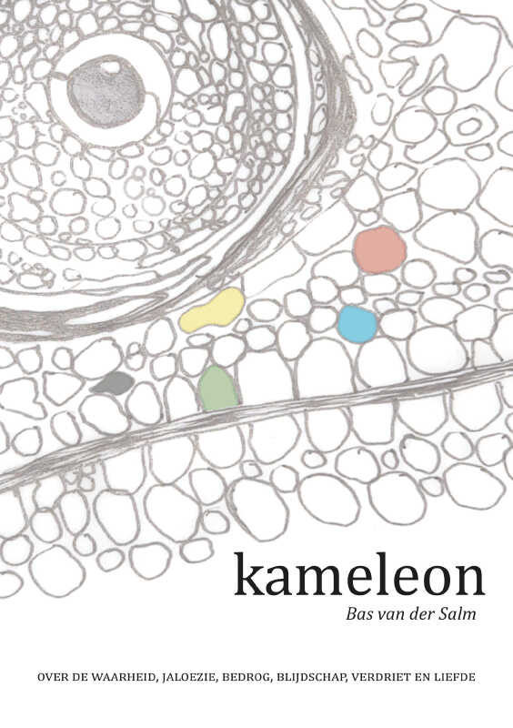 Omslag van Kameleon