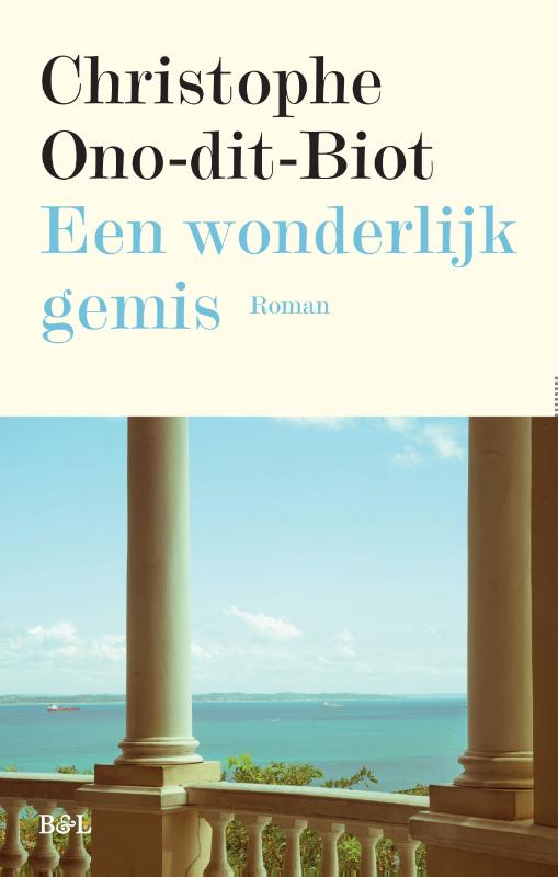 Omslag van Een wonderlijk gemis