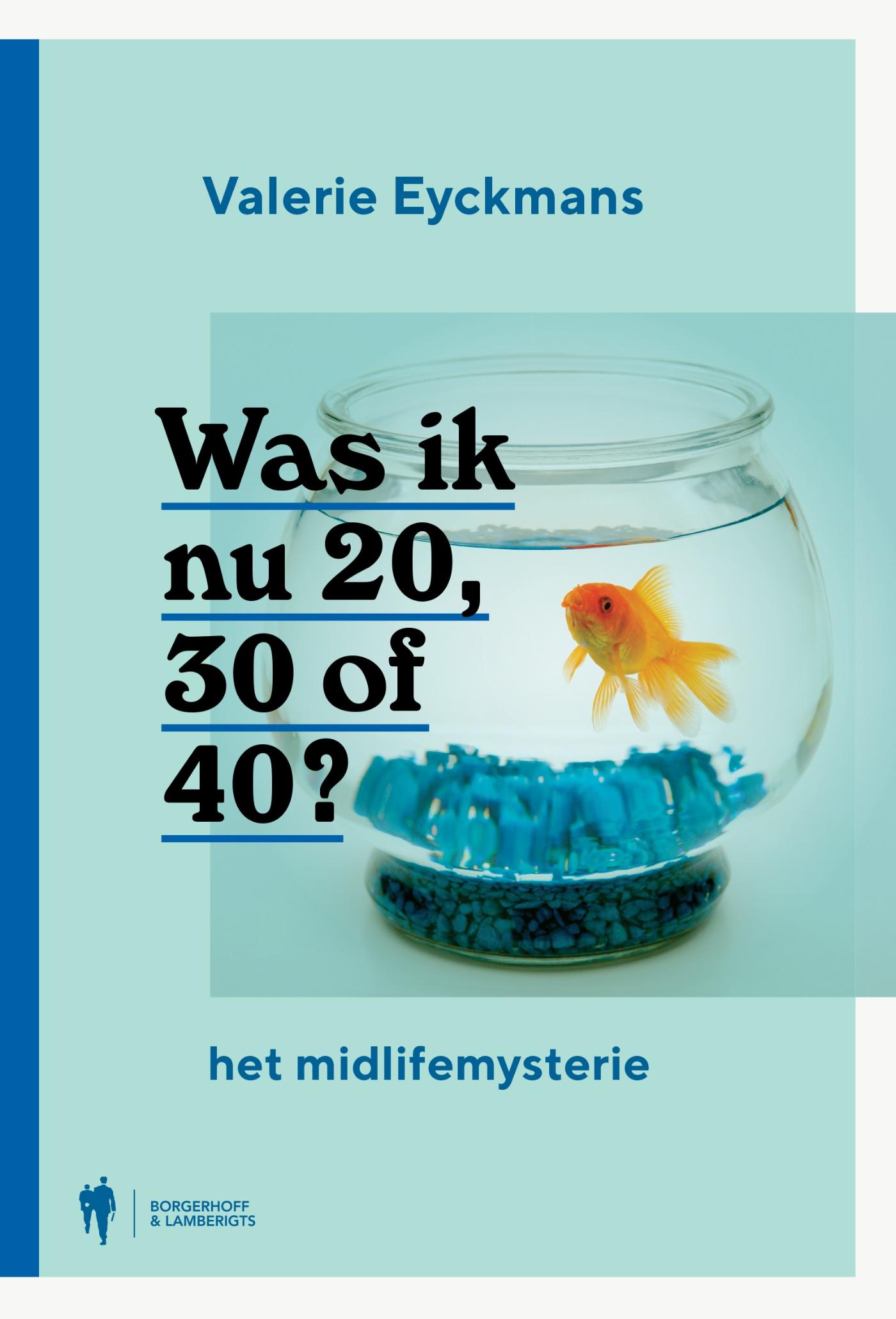 Omslag van Was ik nu 20,30 of 40 ?