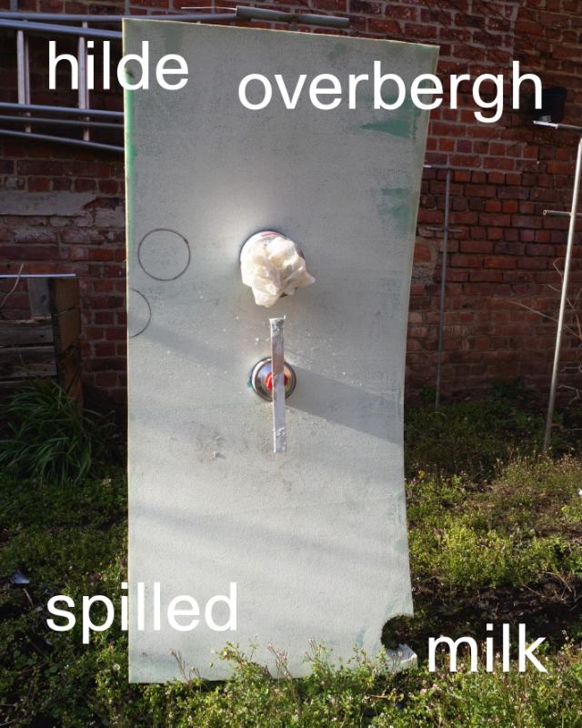 Omslag van Hilde Overbergh