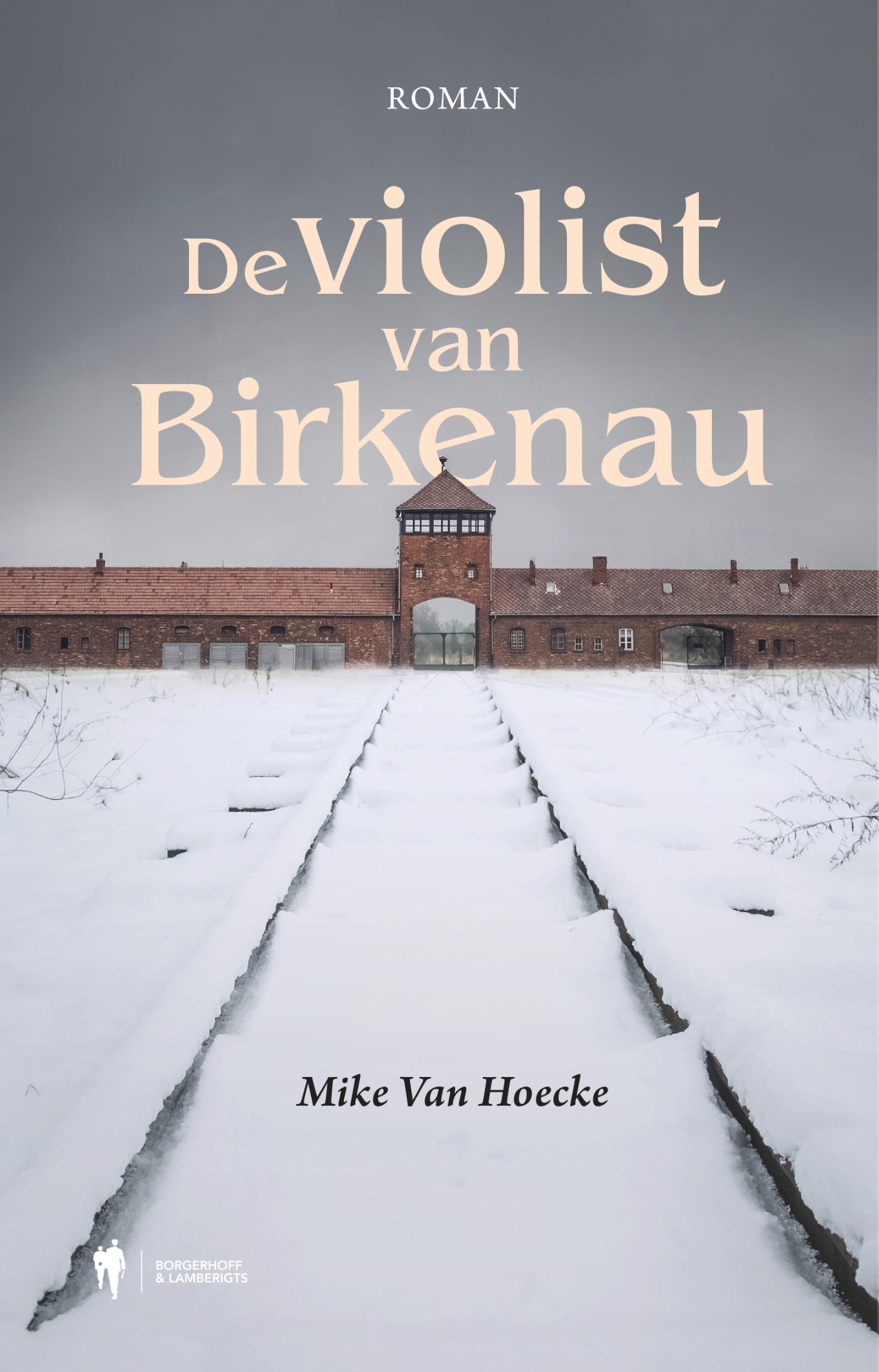 Omslag van De violist van Birkenau