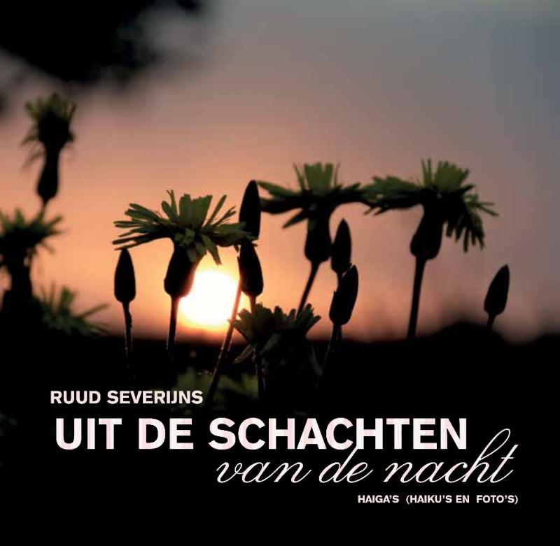 Omslag van Haiga