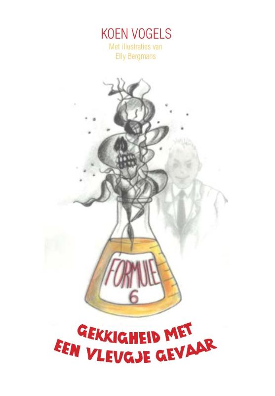 Omslag van Formule 6