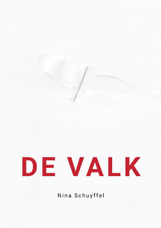 Omslag van De Valk