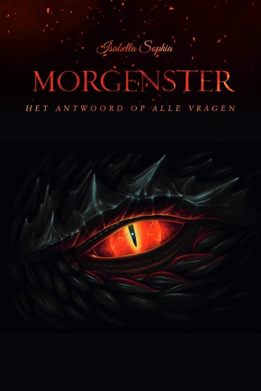 Omslag van Morgenster