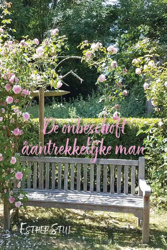 Omslag van De onbeschoft aantrekkelijke man