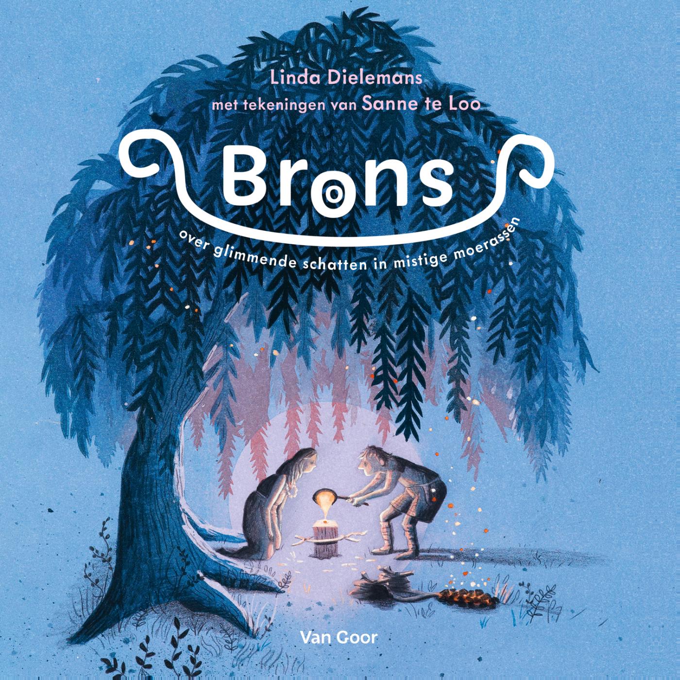 Omslag van Brons