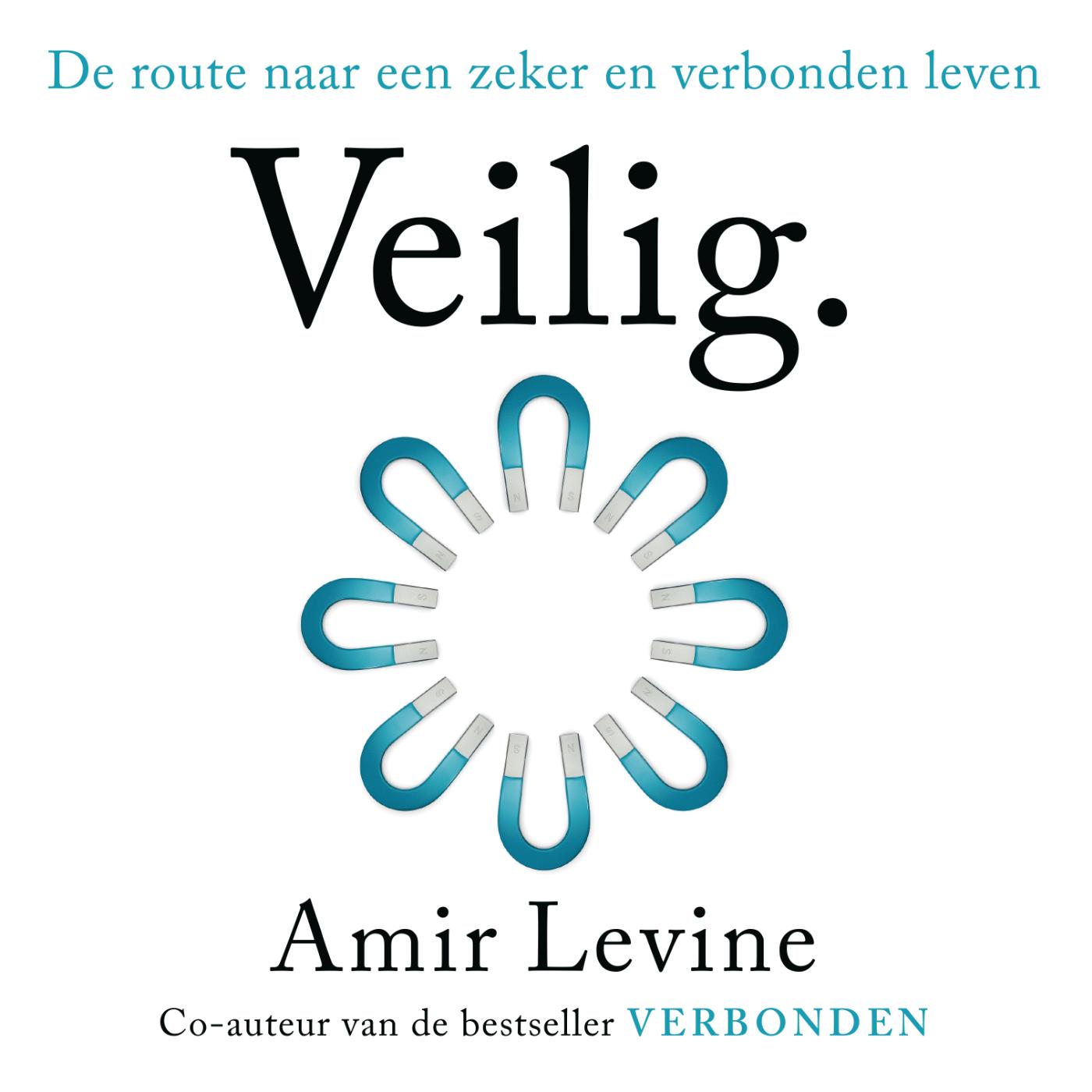 Omslag van Veilig.