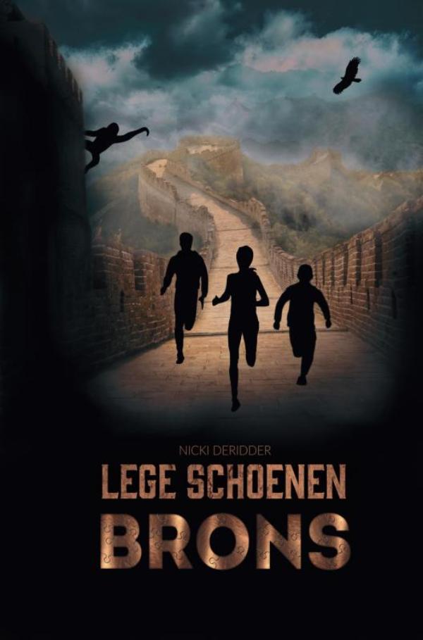 Omslag van Lege Schoenen - Brons