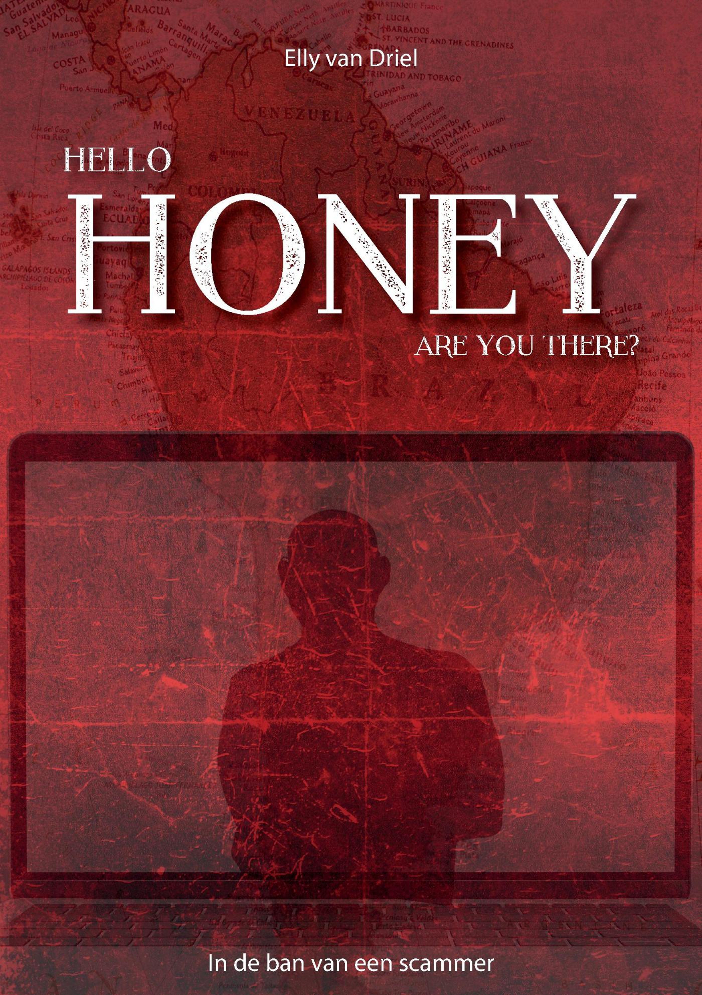 Omslag van Hello Honey, are you there?