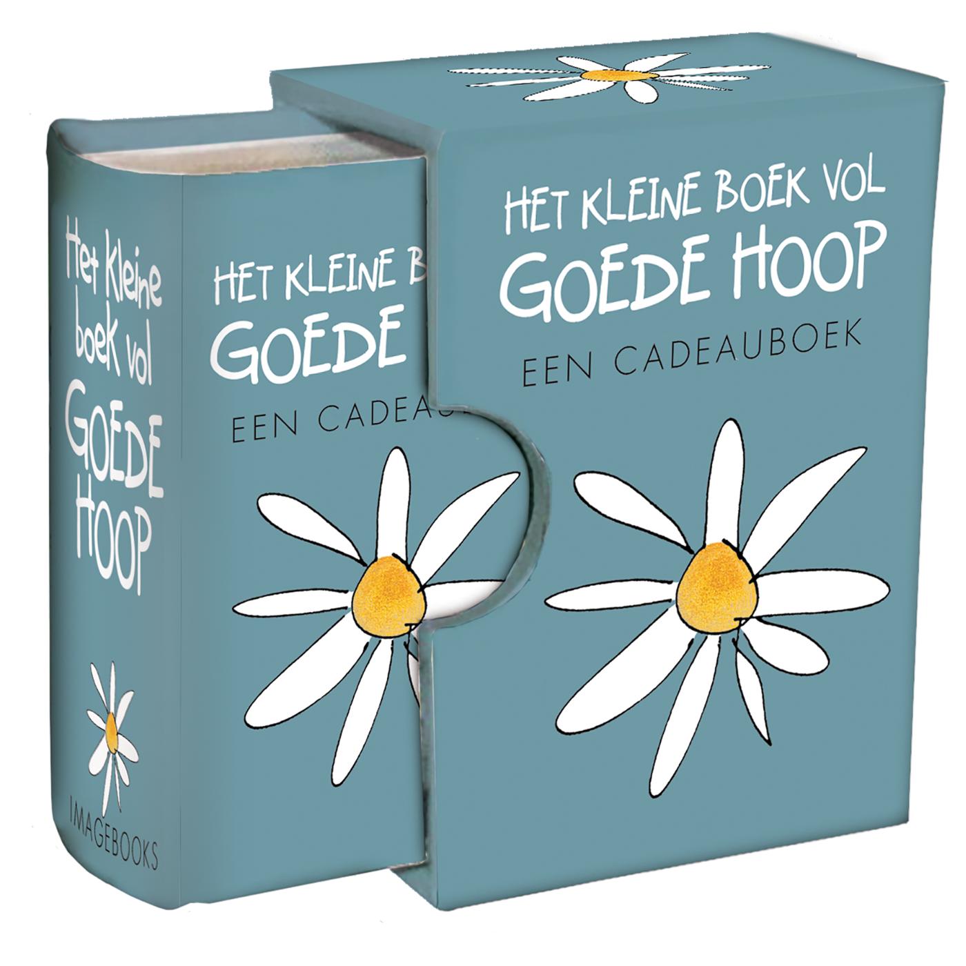 Omslag van Perfect klein cadeautje - Het kleine boek vol goede hoop
