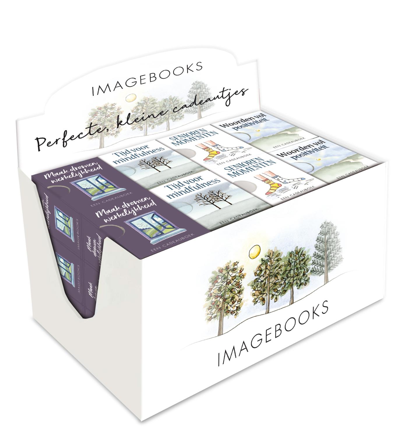 Omslag van Display Perfecte boek cadeautjes 4 x 6 ex.