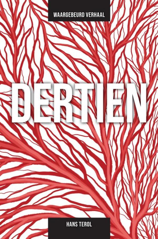 Omslag van DERTIEN