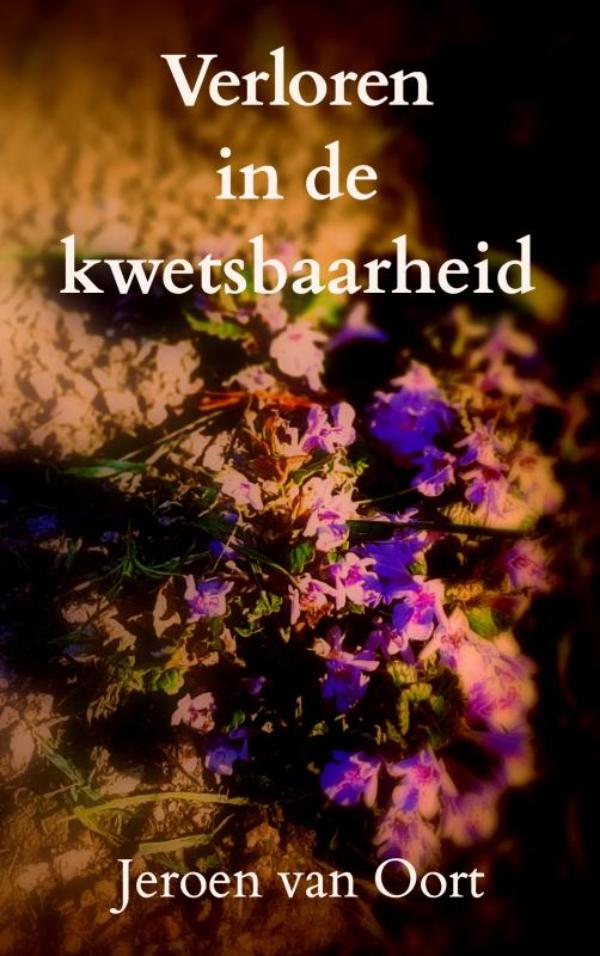 Omslag van Verloren in de kwetsbaarheid