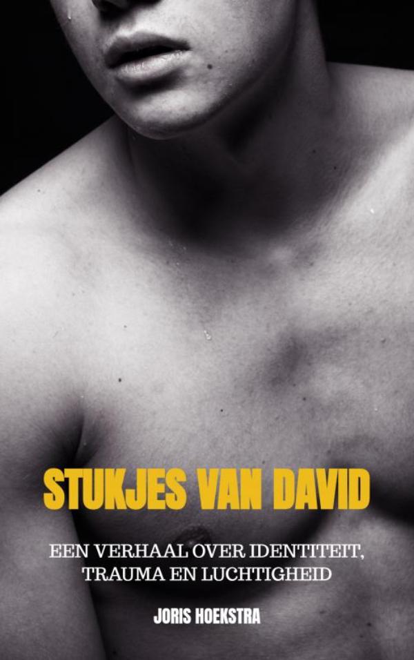 Omslag van Stukjes van David