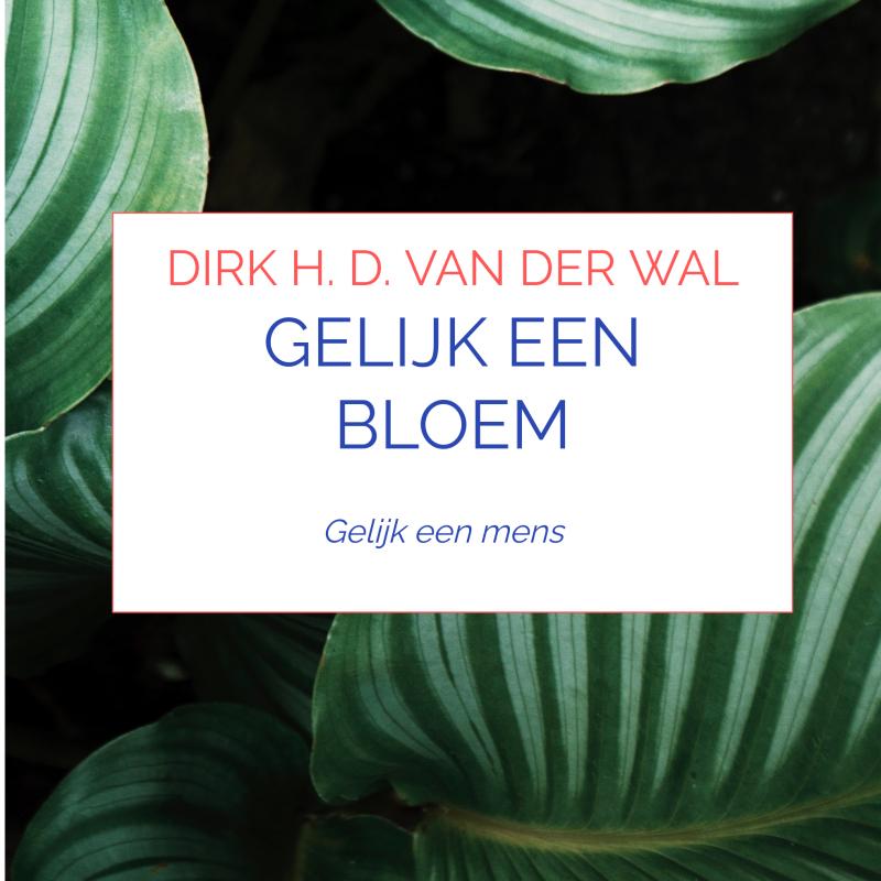 Omslag van Gelijk een bloem