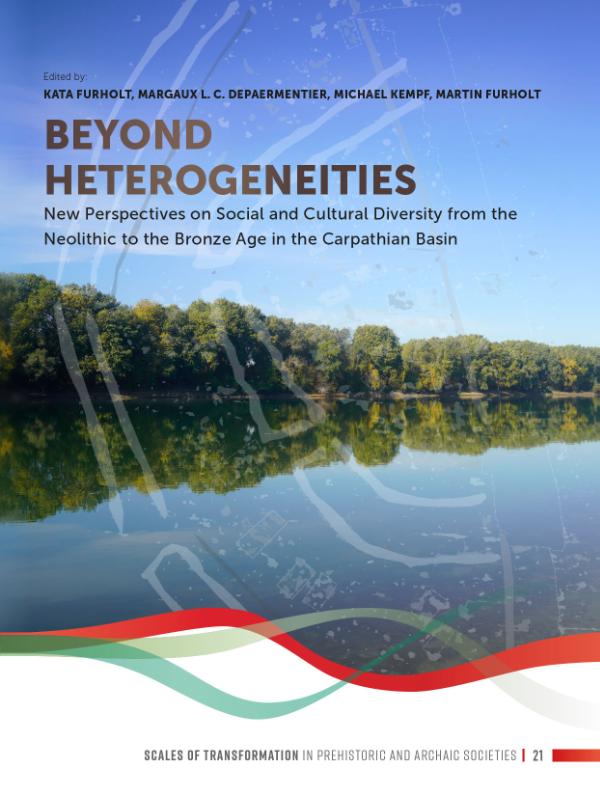 Omslag van Beyond heterogeneities