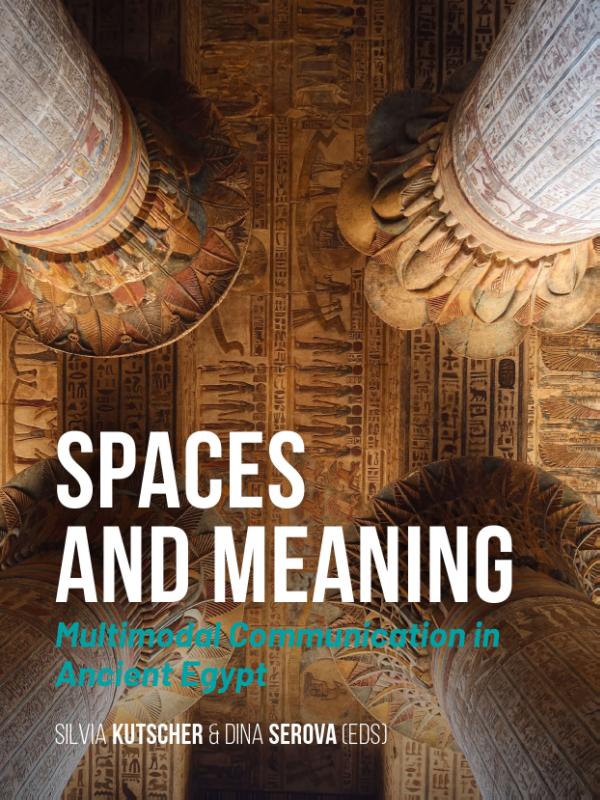 Omslag van Spaces and Meaning