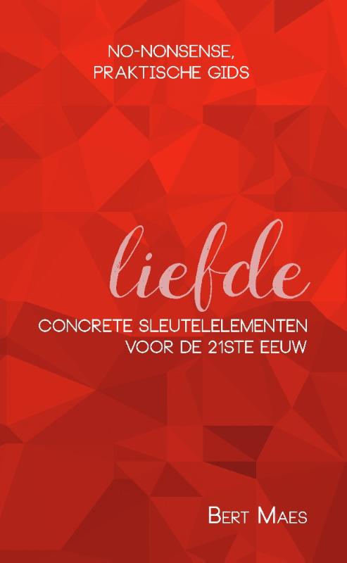 Omslag van No-nonsense, praktische gids: LIEFDE