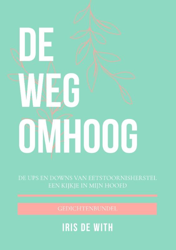 Omslag van De weg omhoog