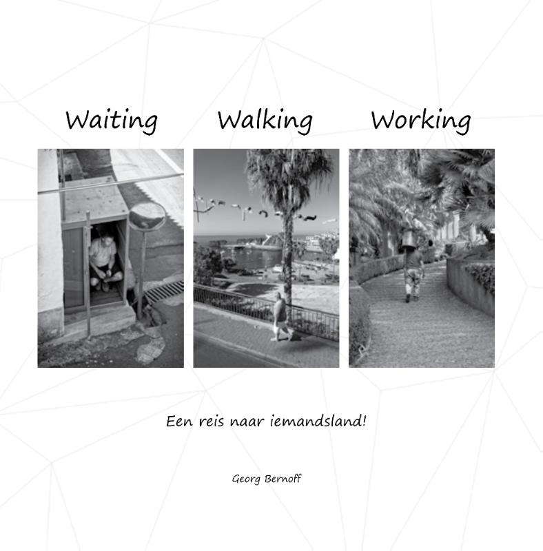 Omslag van Waiting Walking Working