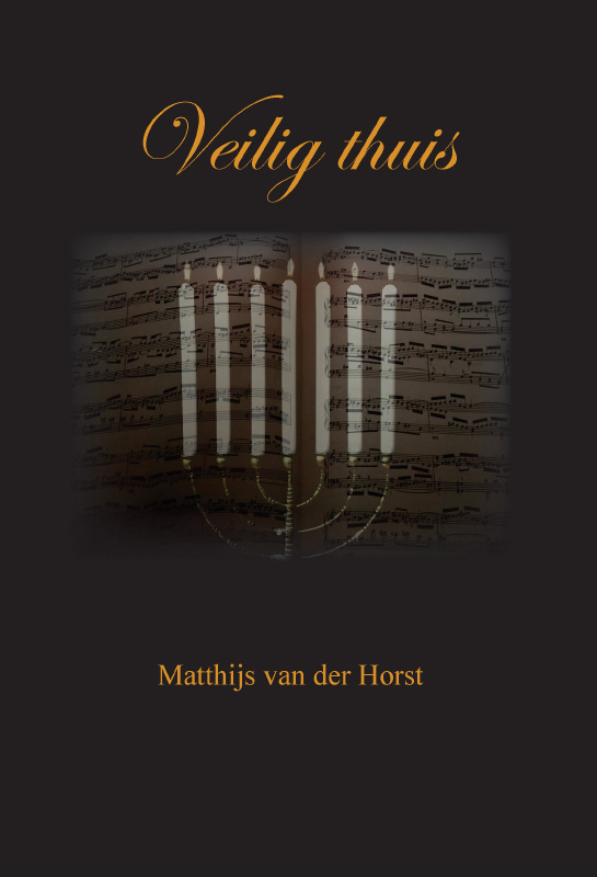 Omslag van Veilig thuis
