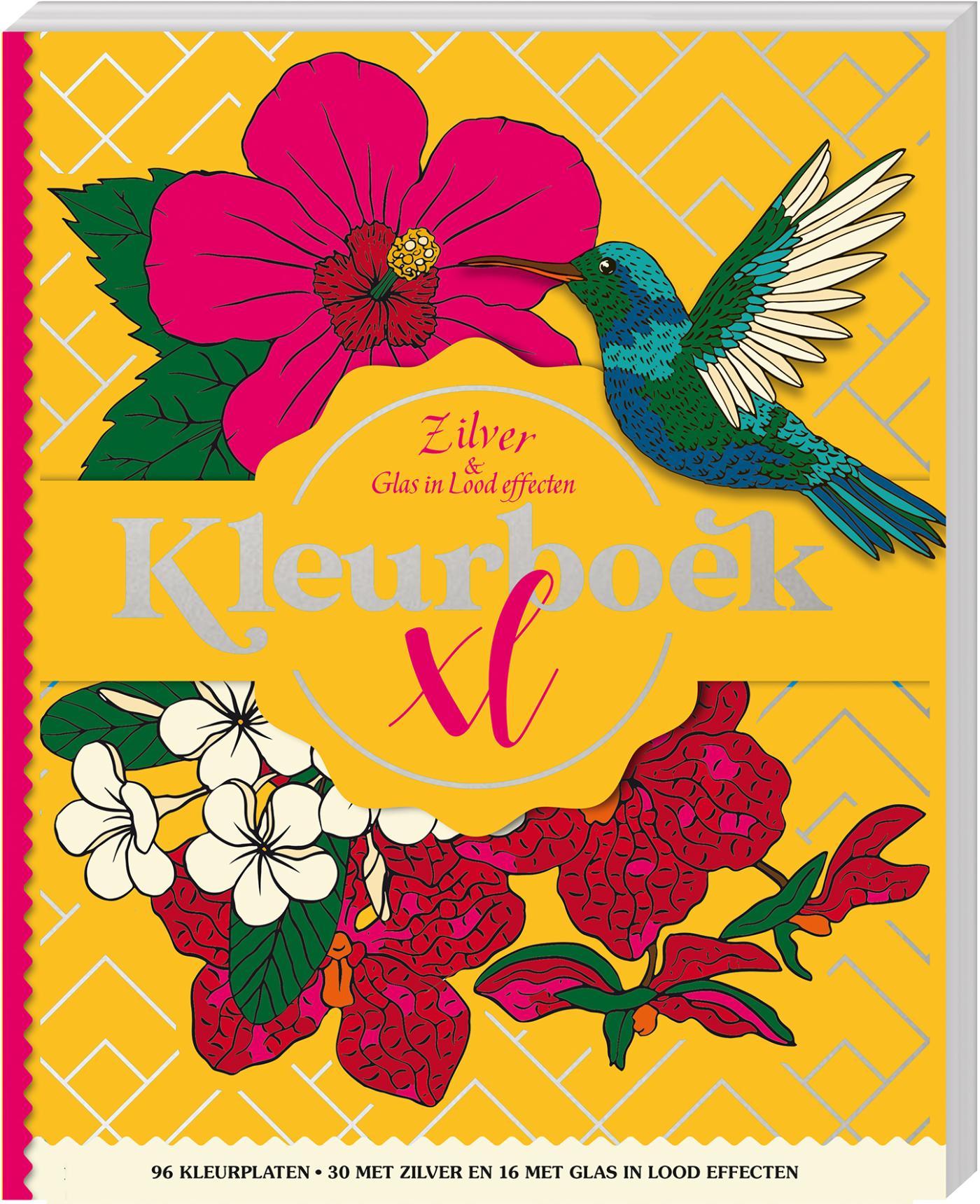 Omslag van Kleurboek XL - Zilver & Glas in lood effecten