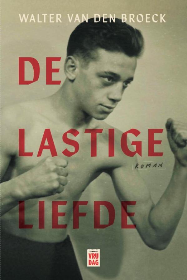 Omslag van De lastige liefde