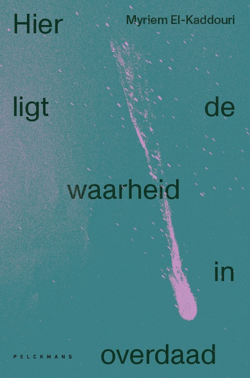 Omslag van Hier ligt de waarheid in overdaad