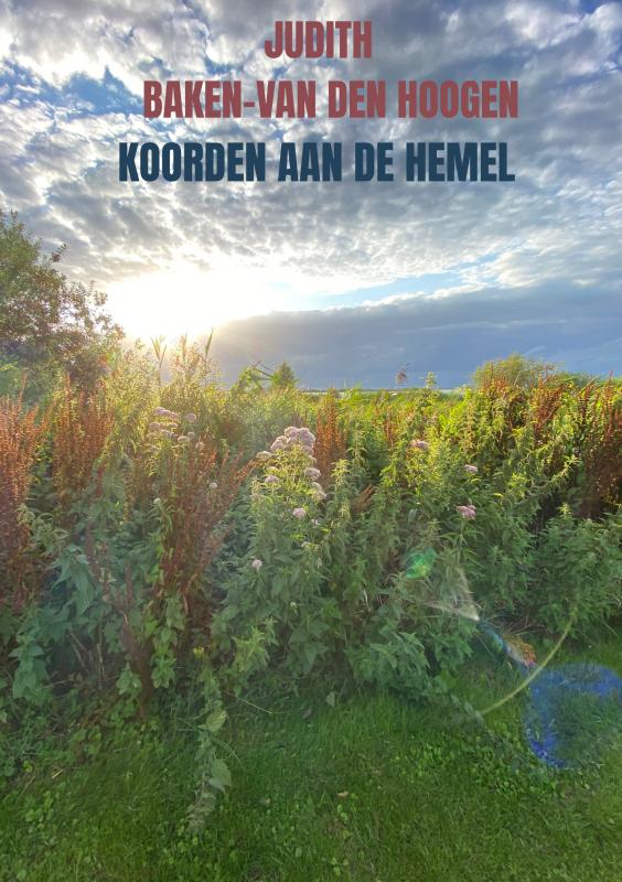Omslag van Koorden aan de hemel