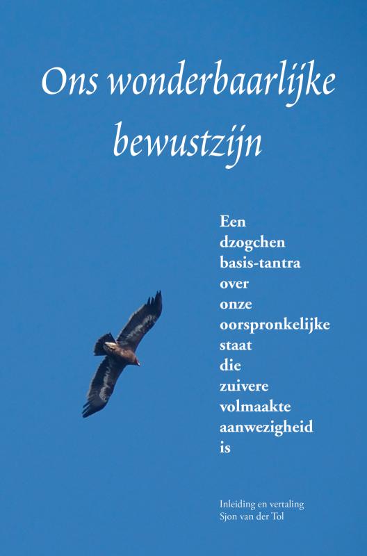 Omslag van Ons wonderbaarlijke bewustzijn