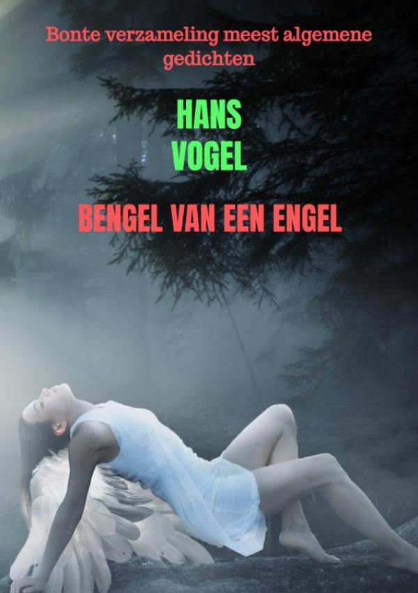 Omslag van Bengel van een engel