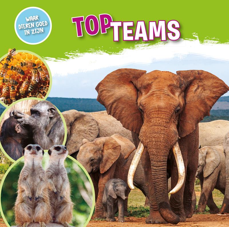 Omslag van Topteams
