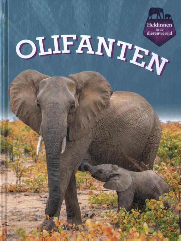 Omslag van Olifanten
