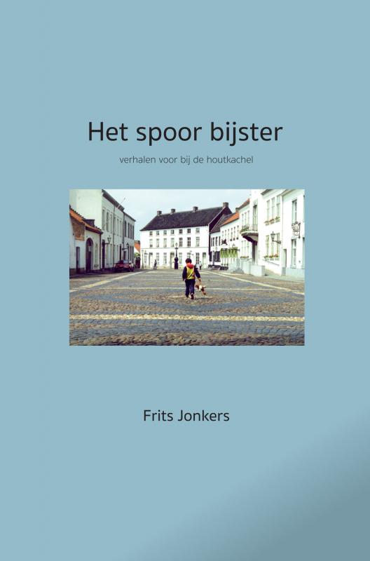 Omslag van Het spoor bijster