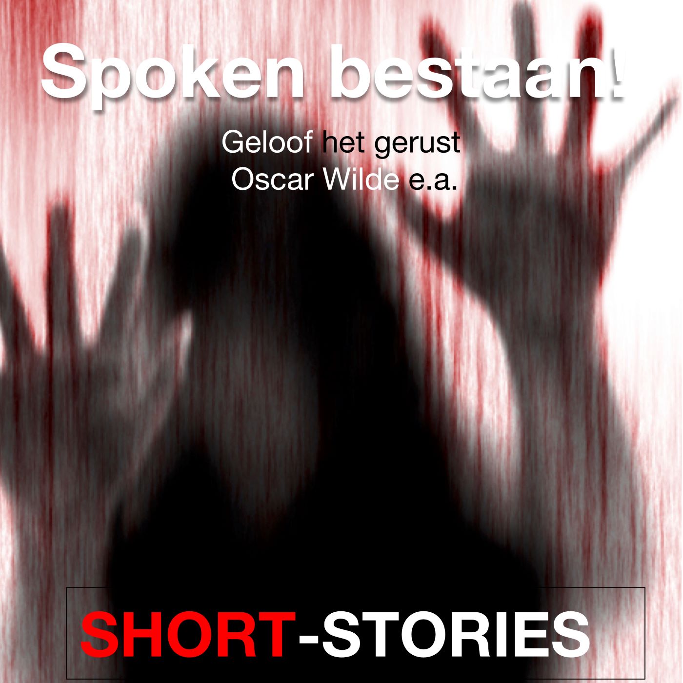 Omslag van Spoken bestaan!