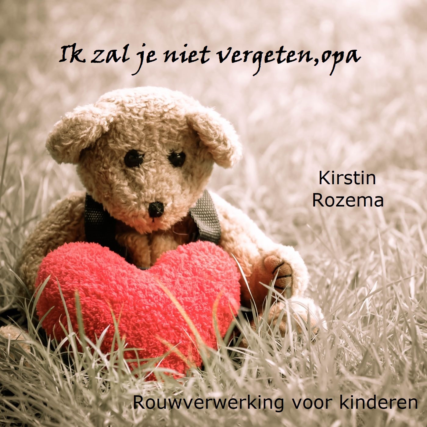 Omslag van Ik zal je niet vergeten, opa