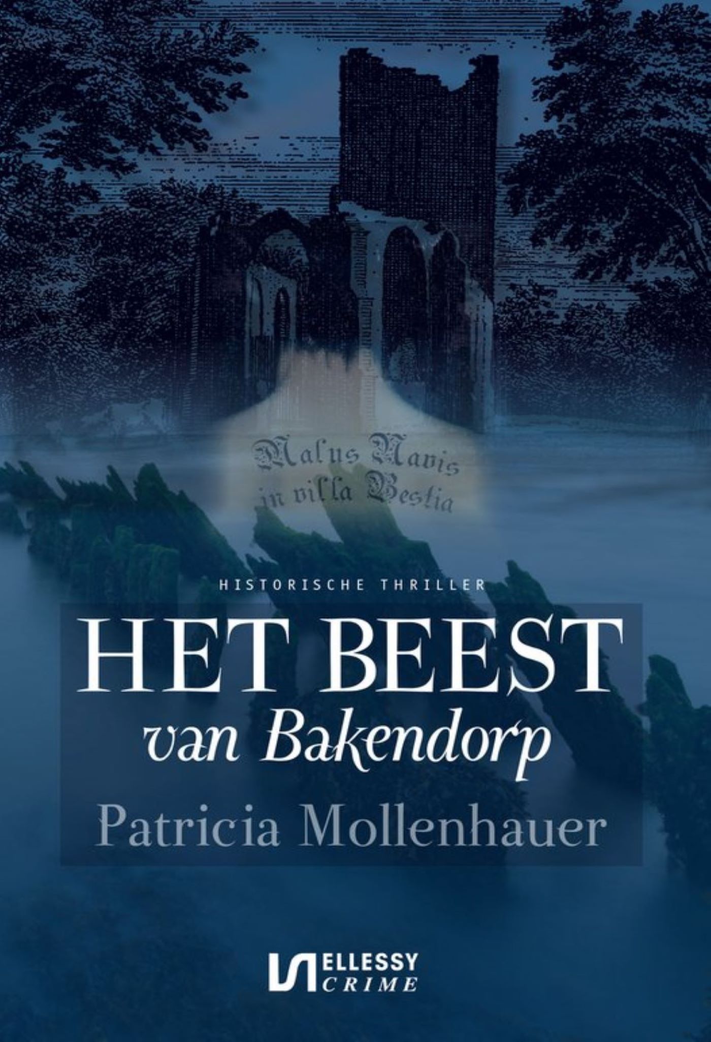 Omslag van Het beest van Bakendorp