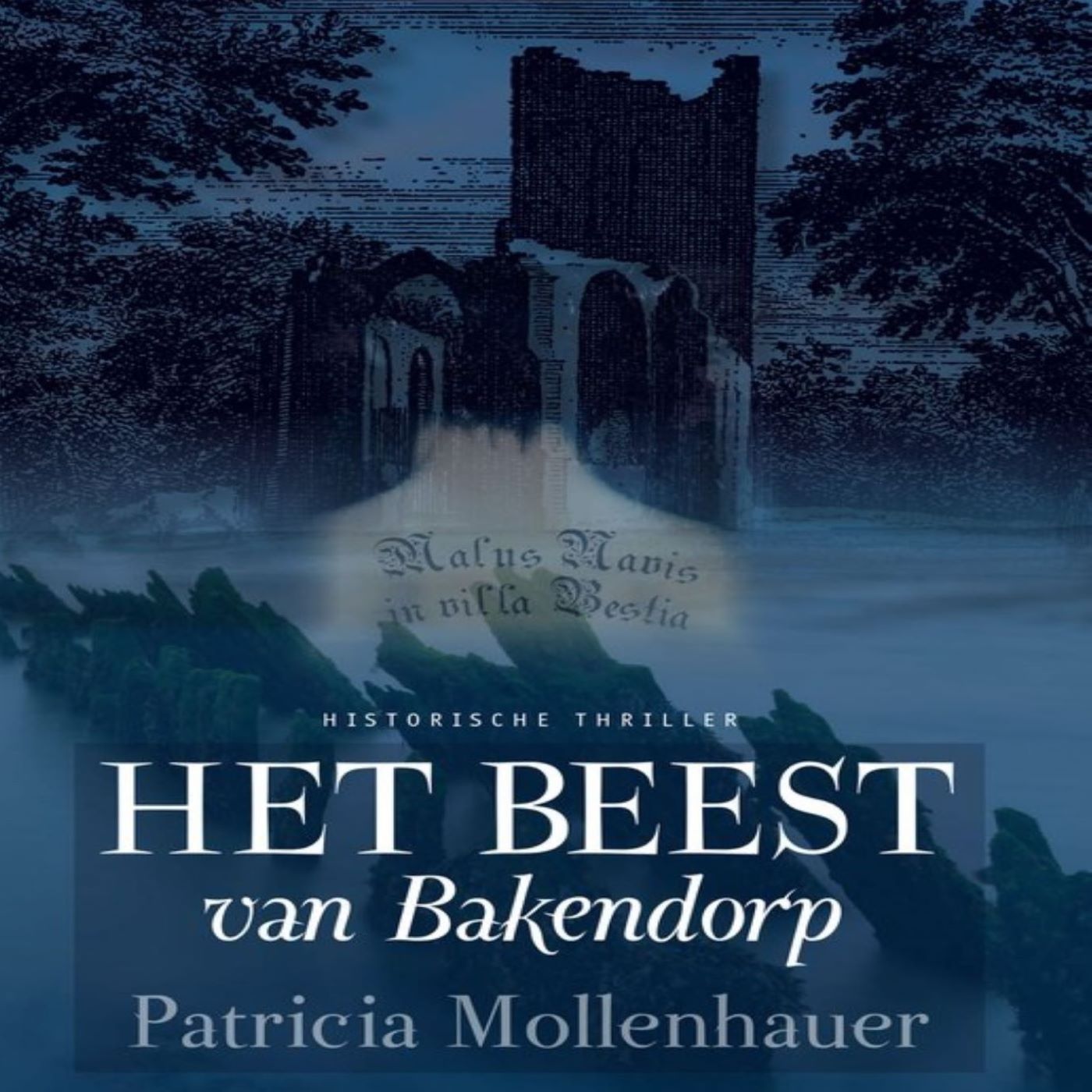 Omslag van Het beest van Bakendorp